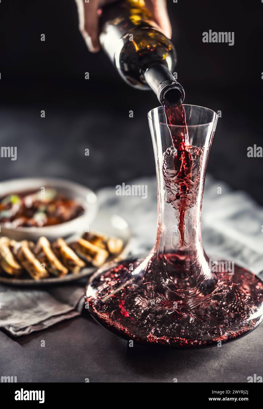 Rotwein wird aus einer Flasche in eine Karaffe auf einem Tisch gegossen, auf dem Wild, ungarisches oder Wiener Gulasch mit Karlovy Vary Klößchen zu finden sind. Stockfoto