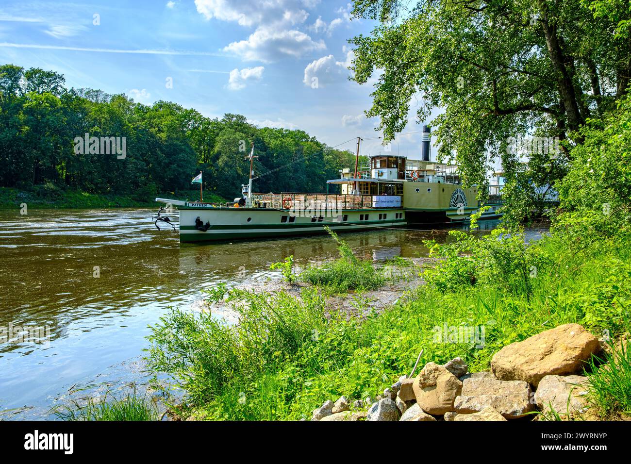 Der historische Raddampfer KURORT RATHEN hat an der Bootsanlegestelle in Pillnitz, Dresden, Sachsen, angedockt. Stockfoto