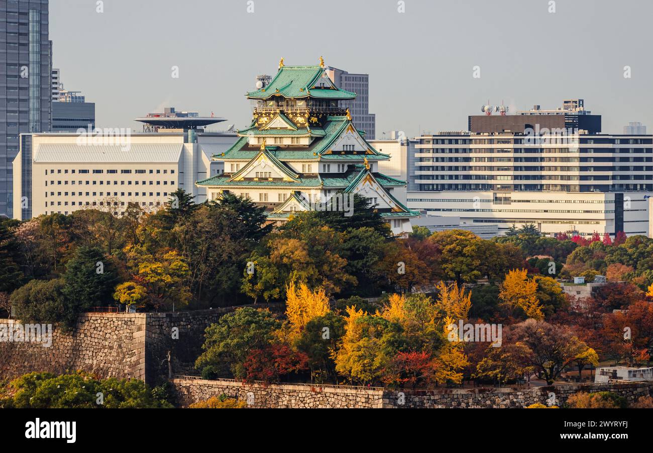 Farbenfrohe Herbstlandschaft am frühen Morgen rund um den Schlosspark Osaka, Präfektur Osaka, Kansai, Japan. Stockfoto