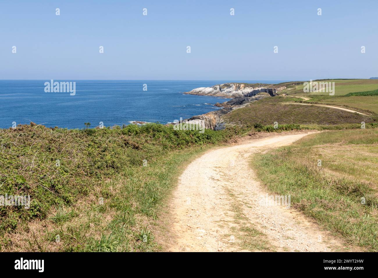 Der malerische Küstenpfad überblickt das blaue Meer und führt zu felsigen Klippen unter klarem Himmel, umgeben von Grün Stockfoto