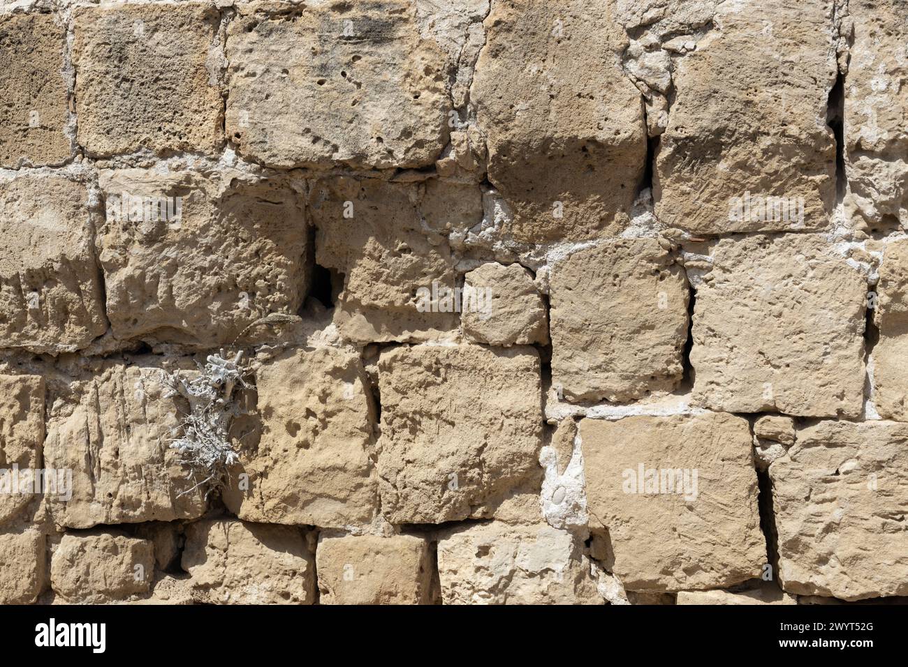 Alte Kalksteinwand Textur Stockfoto