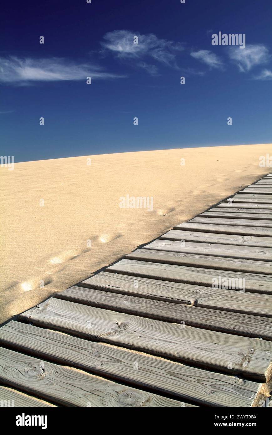 Dünen und Holzweg Stockfoto