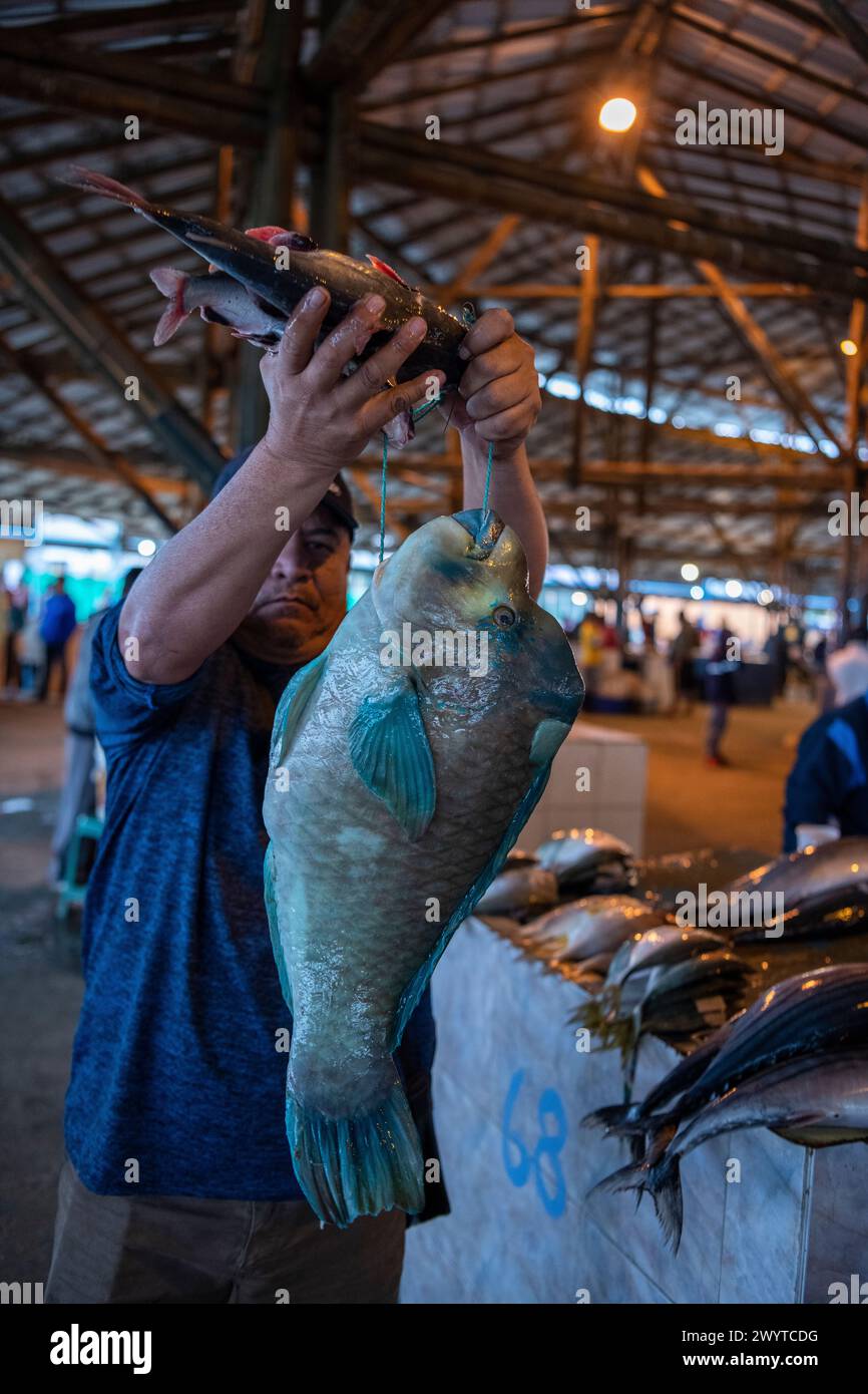 Fischmarkt, Manta, Manabi, Ecuador Stockfoto