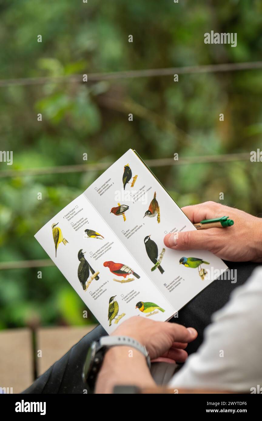 Vogelführer in der Mashpi Lodge, Ecuador, Südamerika Stockfoto