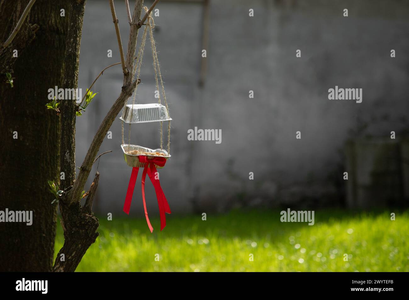 Hausgemachte Vogelfütterung auf einem Baum. Stockfoto