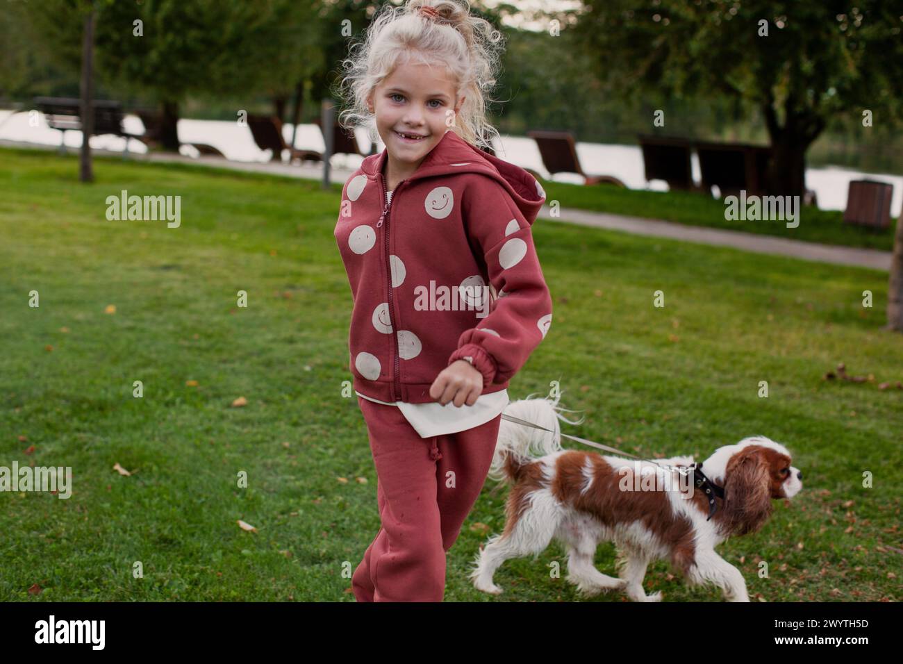 Blondes Mädchen läuft und spielt mit verspieltem Spaniel-Haustier draußen auf grünem Gras. Glückliches Kind mit Hund in Bewegung. Stockfoto