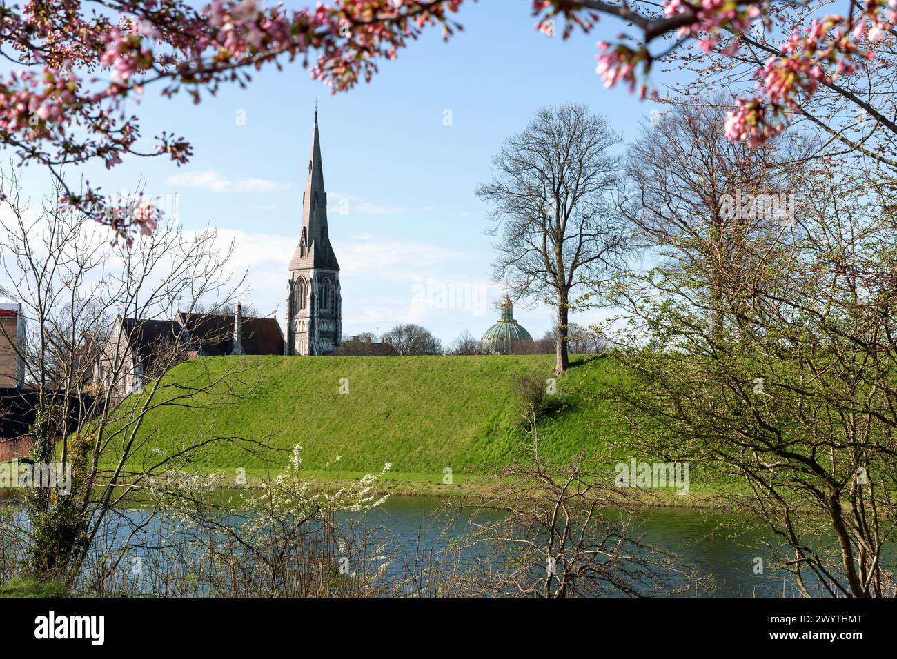 Kirschblüte im Langelinie Park an einem schönen Frühlingstag. Sakura Festival. Kopenhagen, Dänemark Stockfoto