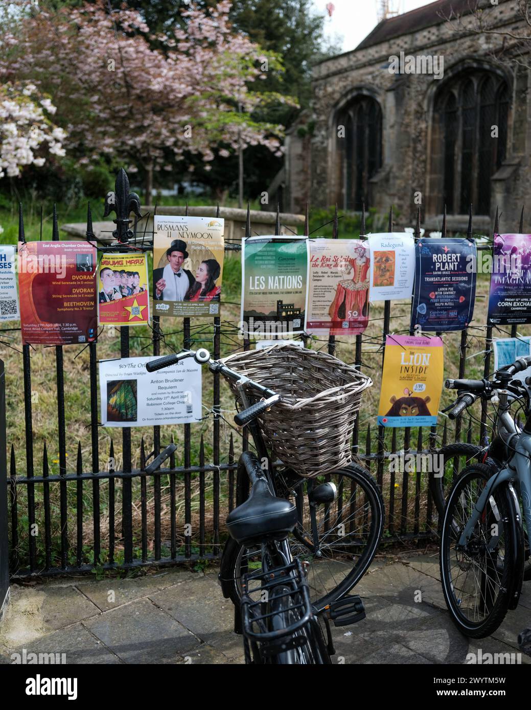 Fahrrad und alte Universitätsgebäude in Cambridge, Großbritannien Stockfoto