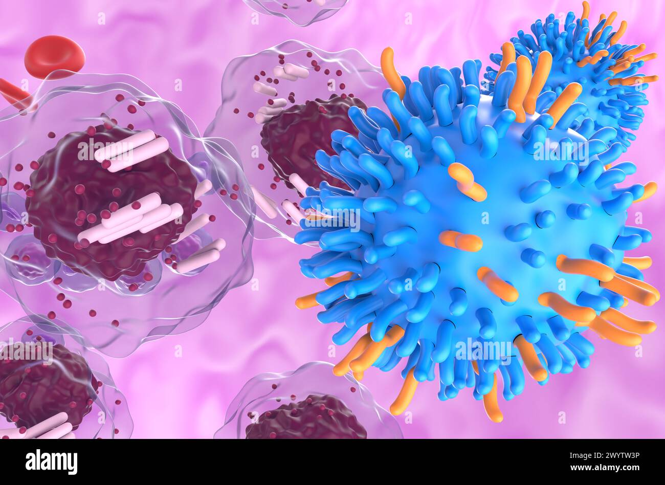 CAR-T-Zell-Therapie bei chronischer lymphatischer Leukämie (CLL) - Nahaufnahme 3D-Illustration Stockfoto