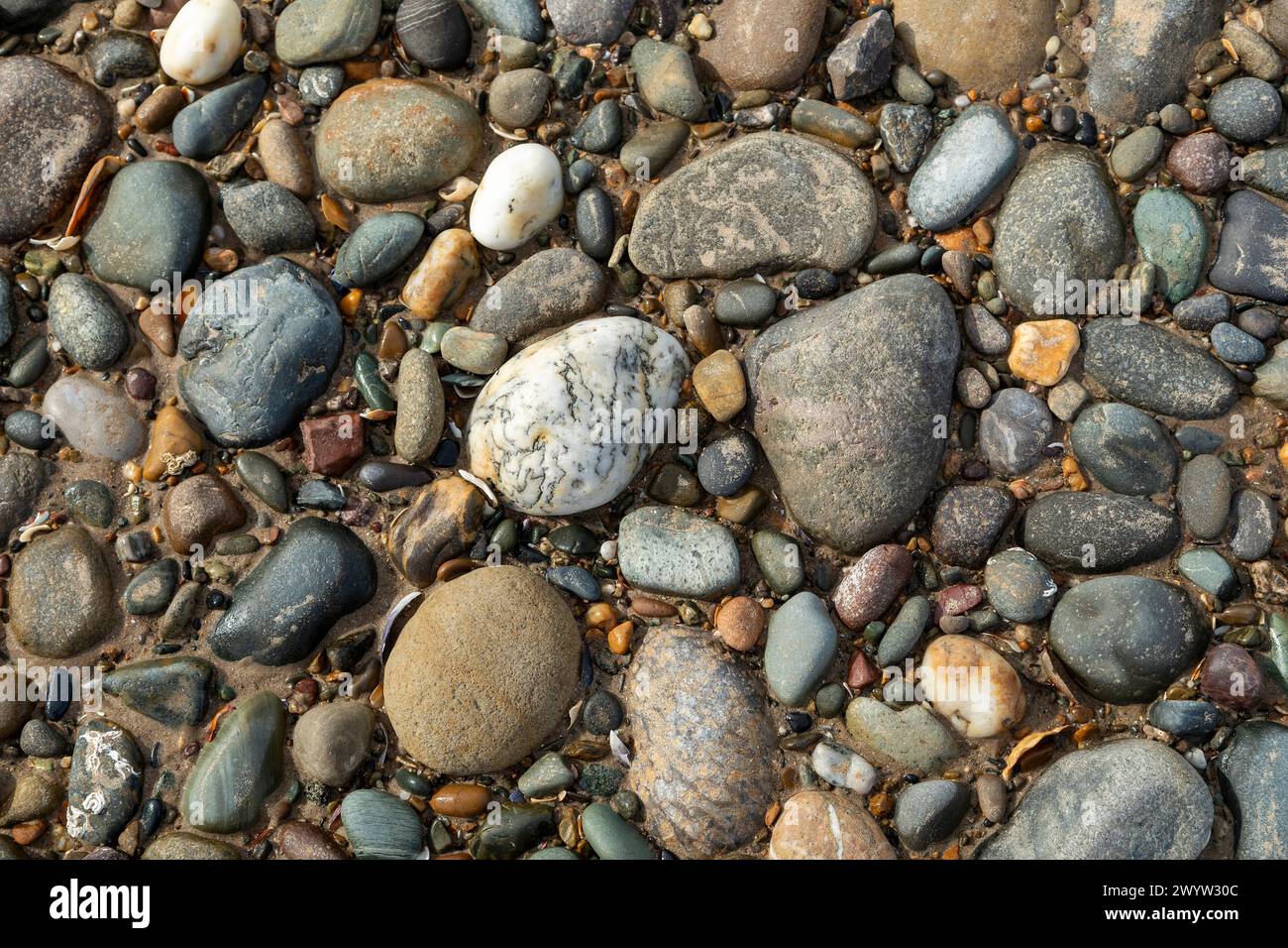 Kieselsteine, Strand, LLanddwyn Bay, Newborough, Anglesey Island, Wales, Großbritannien Stockfoto