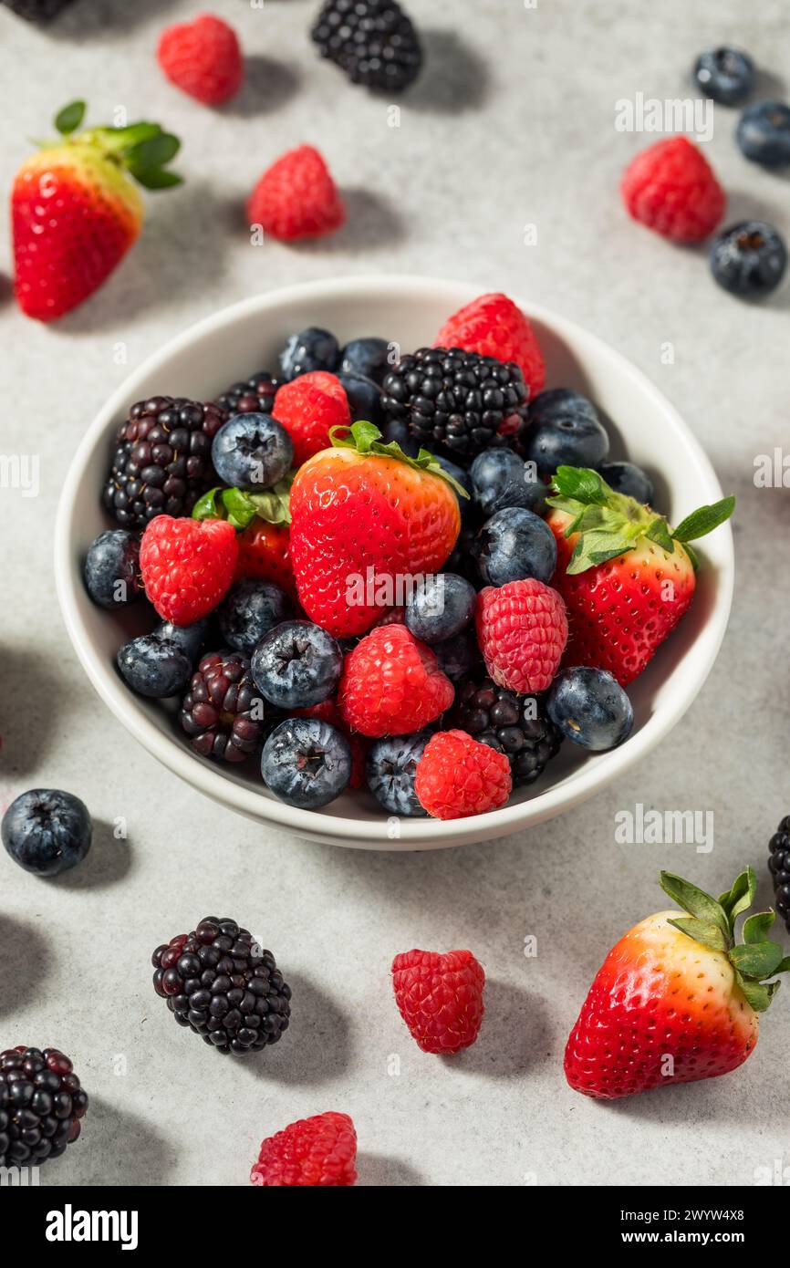 Bio Roh gemischte Beeren mit Heidelbeeren, Erdbeeren und Himbeeren Stockfoto