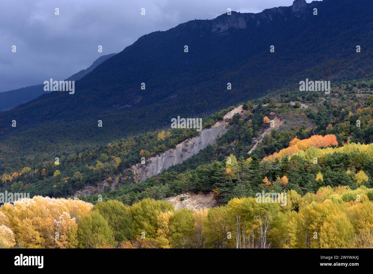 Black Storm Wolken über Herbstfarben und Vegetation Blieux im Regionalpark Verdon Gorge Alpes-de-Haute-Provence Frankreich Stockfoto