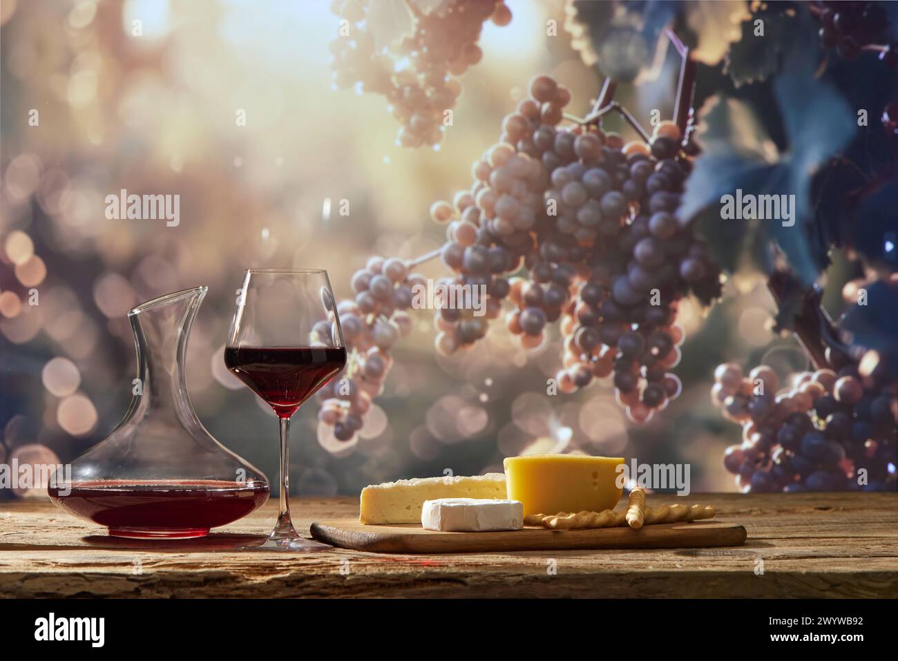 Karaffe, Rotweinglas neben Trauben mit verschiedenen Käsesorten auf Holzbrett als Vorspeise. Weinverkostungen Stockfoto