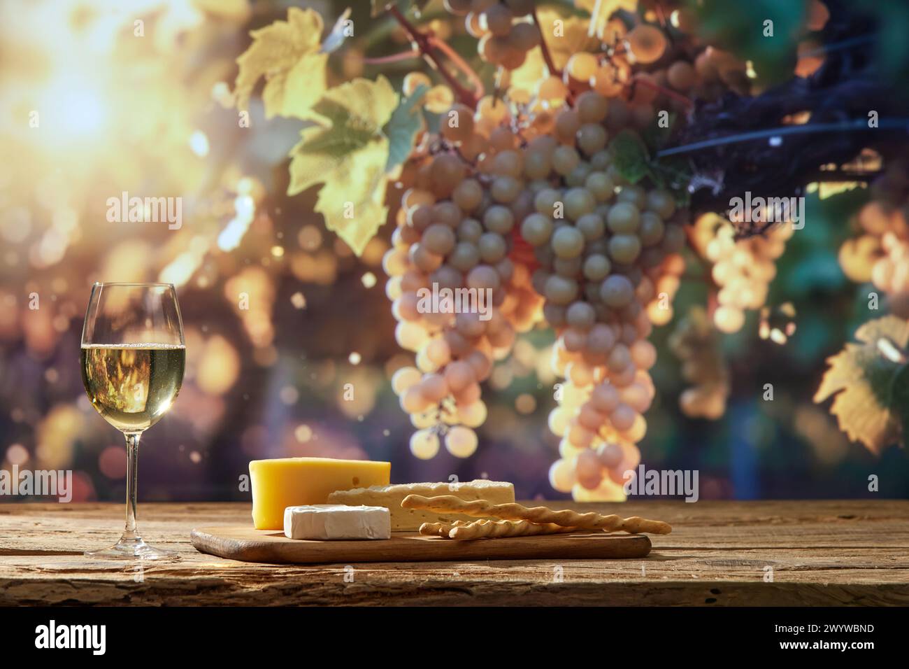 Glas mit biologischem, fermentiertem Weißwein und verschiedenen Käsesorten an Bord als Vorspeise für Weindegustation mit Weinzweigen im Hintergrund Stockfoto