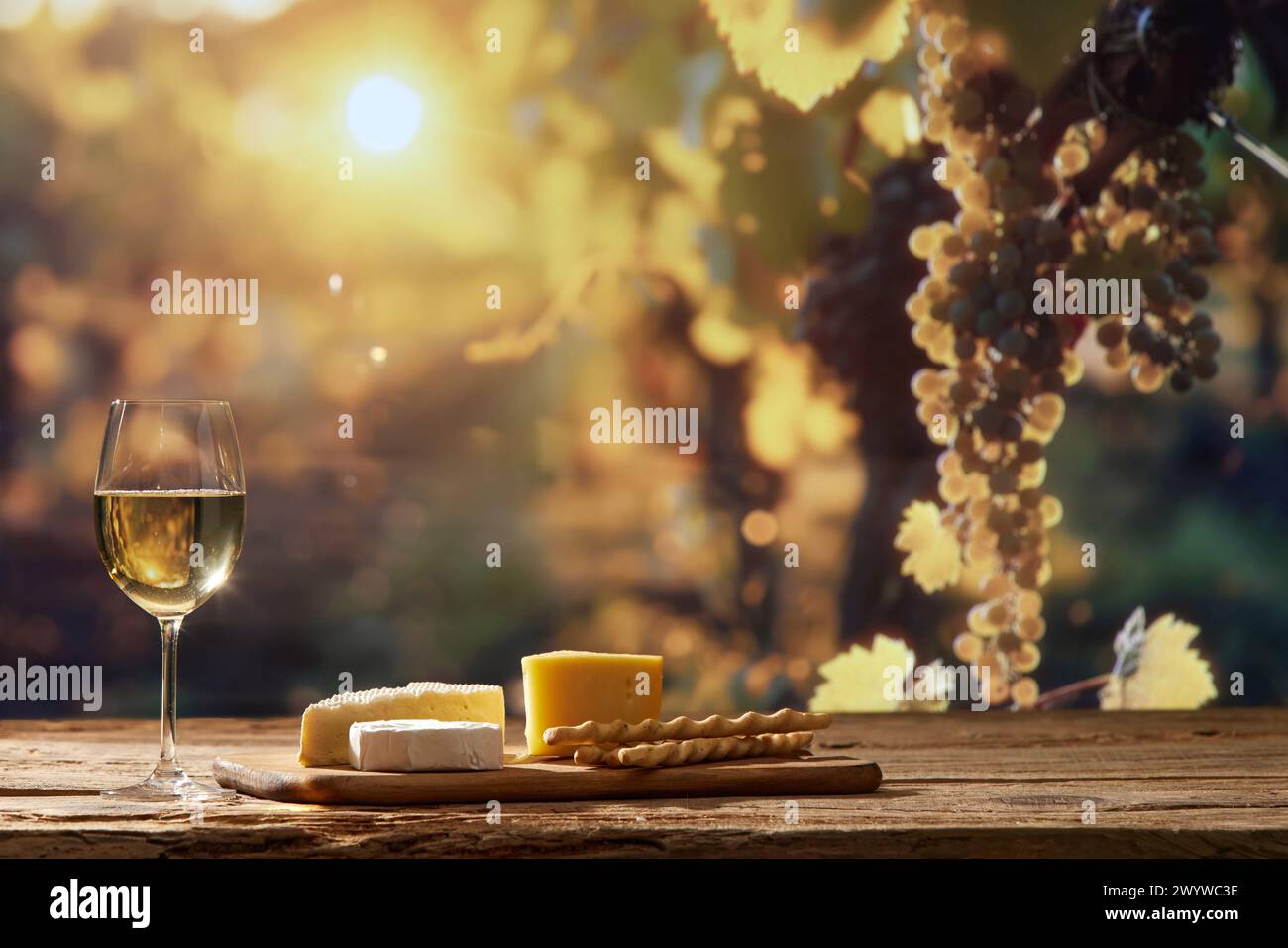 Malerische Szene mit Weinglas und Käsevorspeisen mit Traubenbäumen im Hintergrund, die das Wesen der Weinherstellung symbolisieren Stockfoto