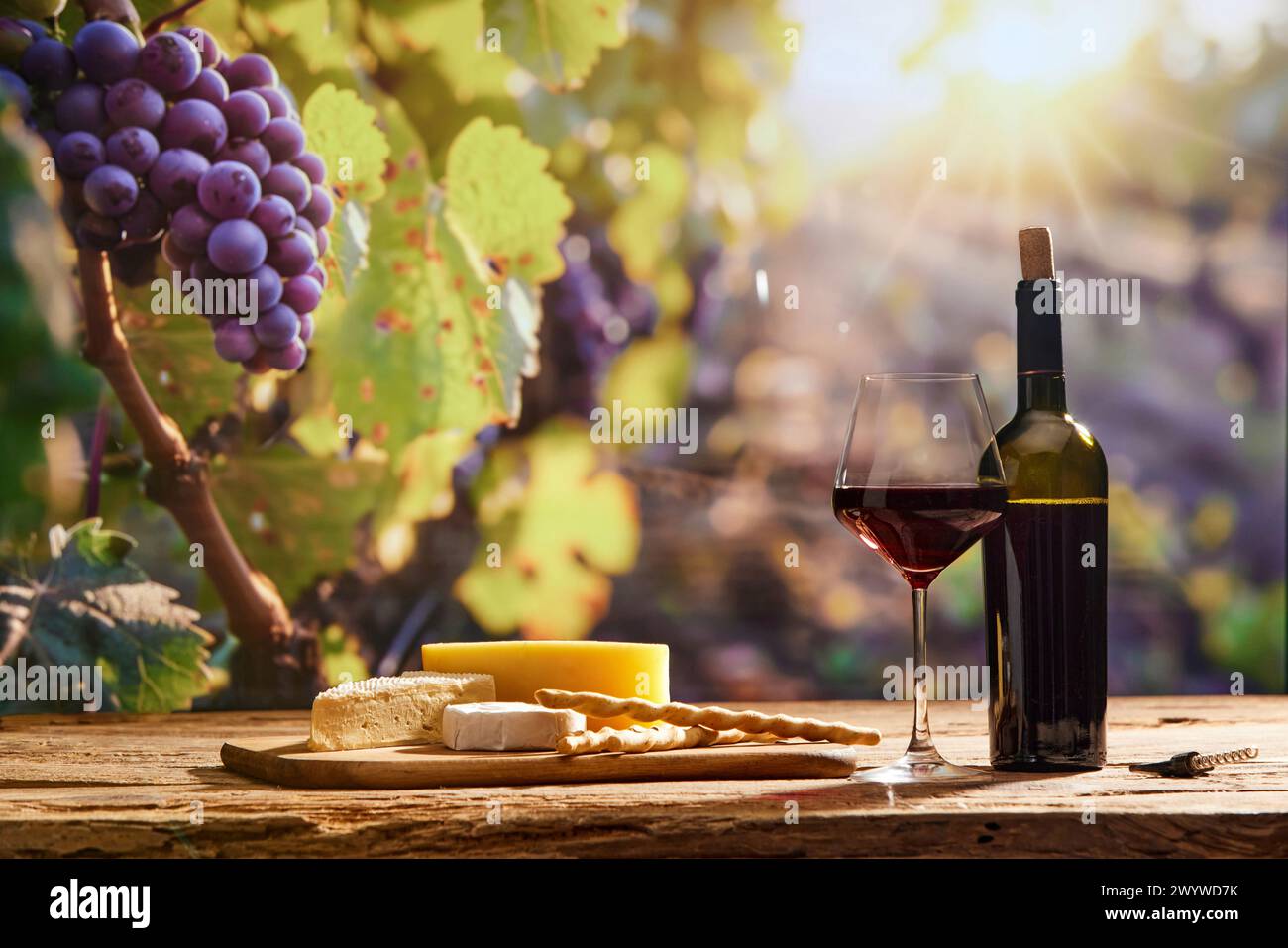 Weinkultur und Verkostung. Flasche und Glas mit Rotwein, Holzbrett mit verschiedenen Käse mit Traubenzweigen auf dem Hintergrund. Stockfoto