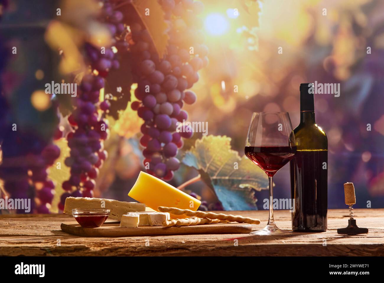 Fesselndes Bild mit dem Wesen der Weinherstellung, mit einer Flasche Wein und einem Glas Rotwein, Käse vor dem Hintergrund malerischer Traubenbäume Stockfoto