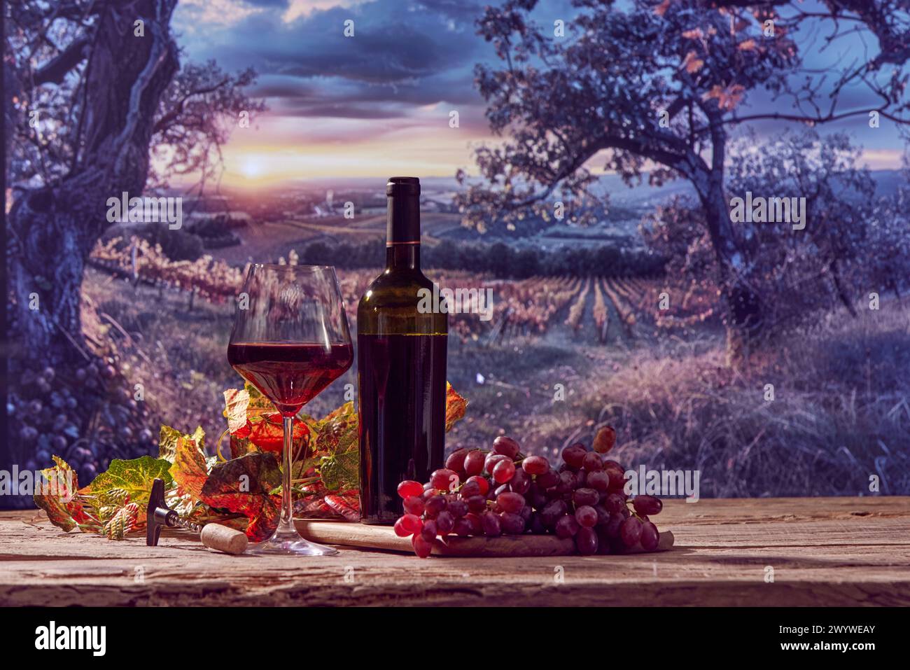 Weinflasche, Glas mit Rotwein, Traubenstrauch, Weinblätter auf Holztisch mit schöner Naturlandschaft Stockfoto