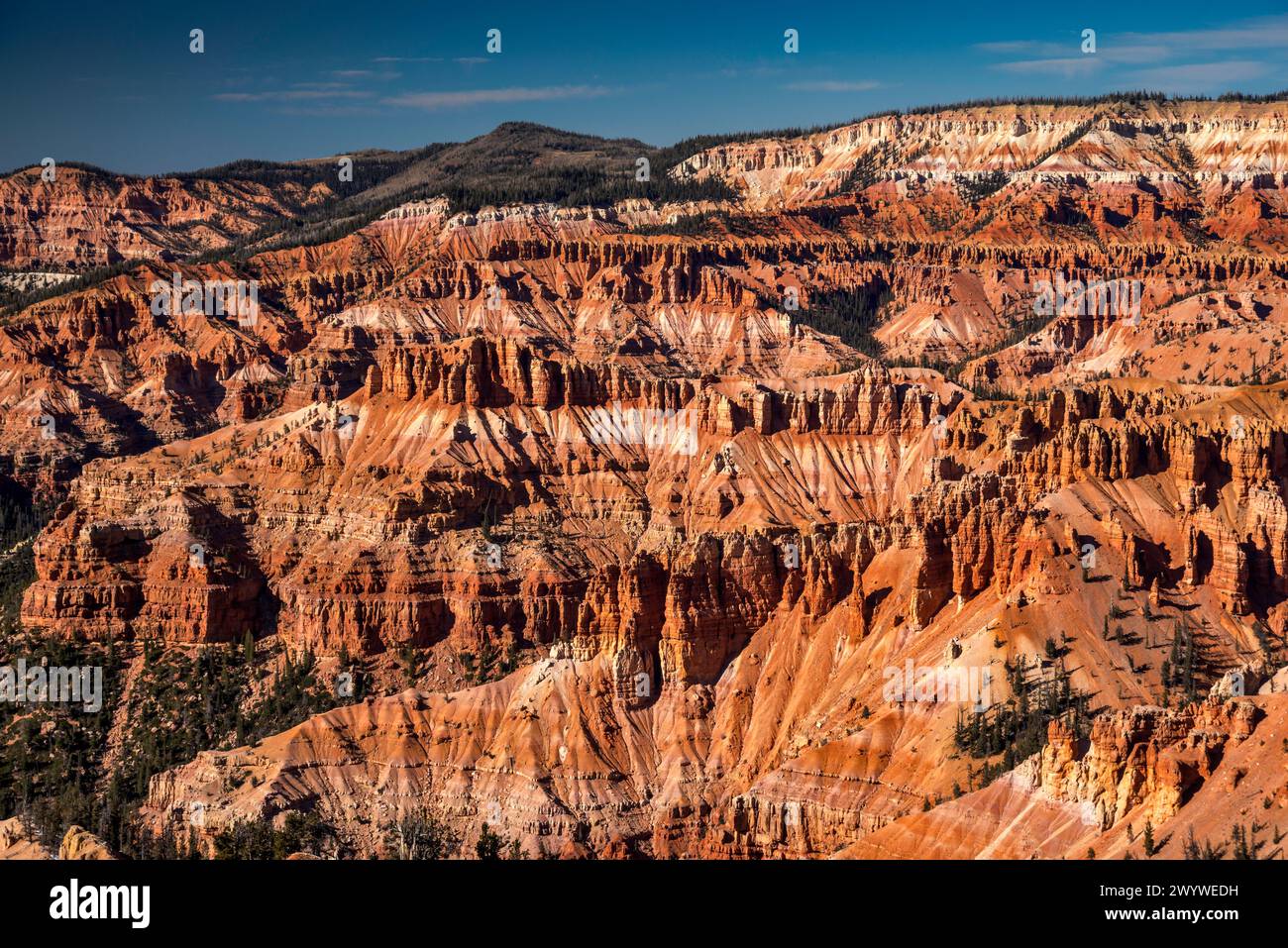 Blick auf Cedar Breaks im Amphitheater von Ende Oktober von Punkt Supreme in Cedar Breaks National Monument, Utah, USA Stockfoto