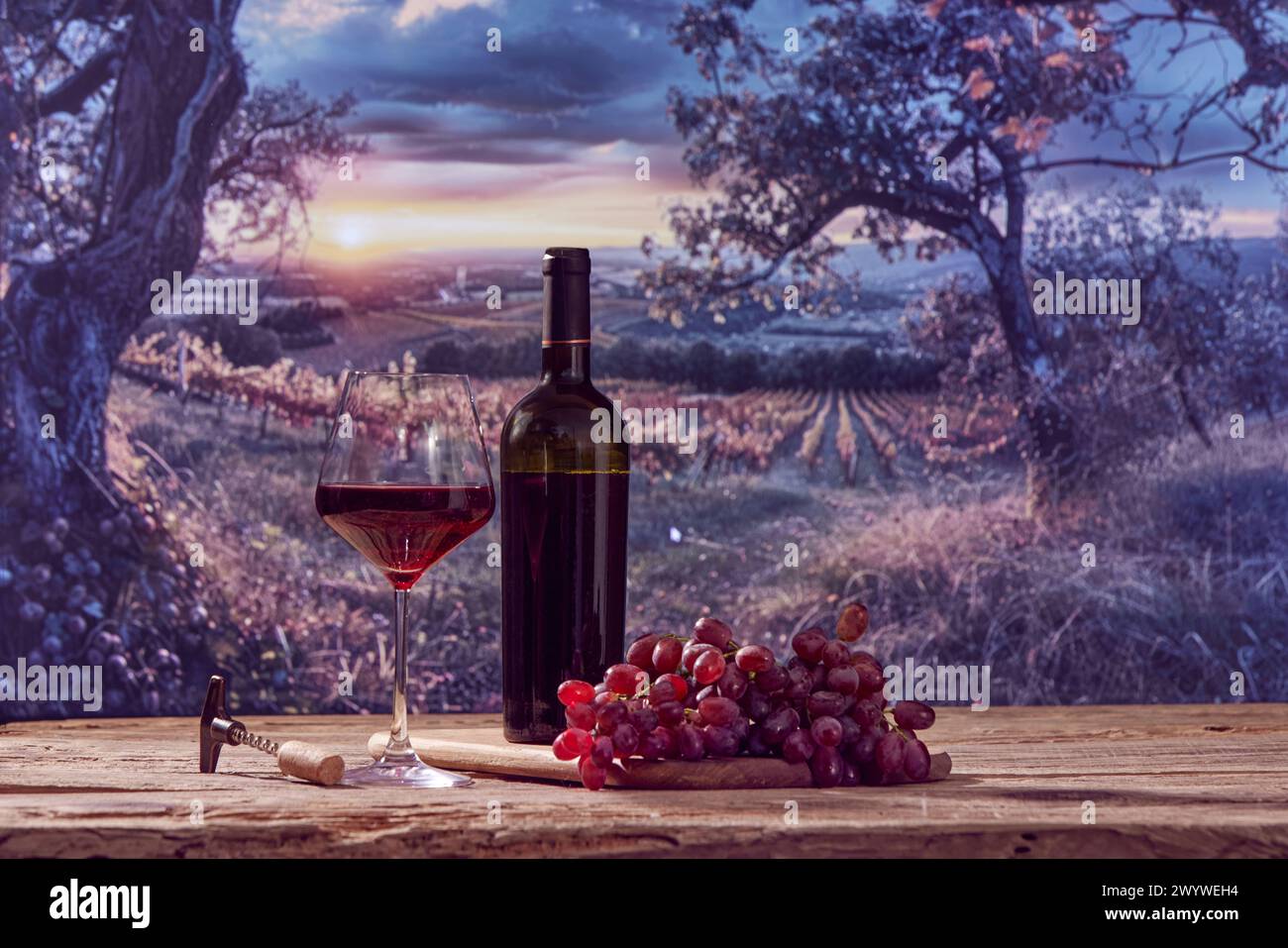 Weinindustrie. Flasche und Glas Rotwein mit Trauben liegen auf Holztisch mit herrlichem Blick auf den Weinberg Stockfoto