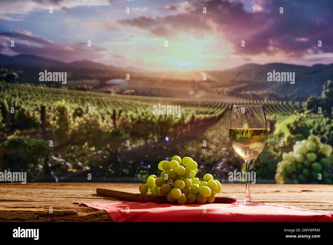 Glas Weißwein und Trauben auf einem Holztisch. Verschwommener Weinberg mit Reihen von Weinreben auf dem Hintergrund Stockfoto