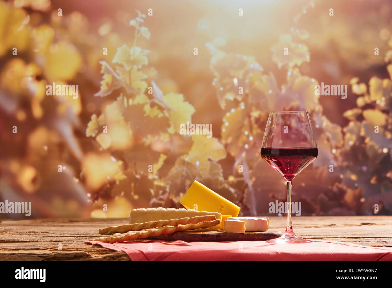 Glas Rotwein, Käse und Brotstangen auf Holztisch mit Weinberg, Traubenzweige auf Hintergrund durch Sonnenlicht Stockfoto