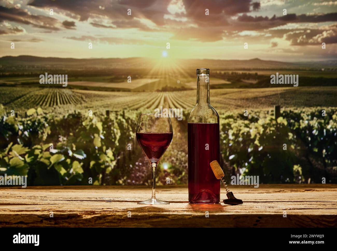 Rotweinflasche und Glas auf Holztisch. Rebreihen im Weinberg auf Hintergrund. Die Essenz der Weinbereitung Stockfoto