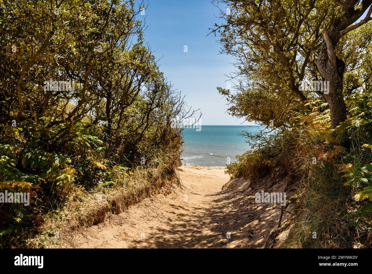 Blick auf den Strand von La Mine in Jard sur Mer, Frankreich an einem Sommertag, Vendée, Frankreich Stockfoto