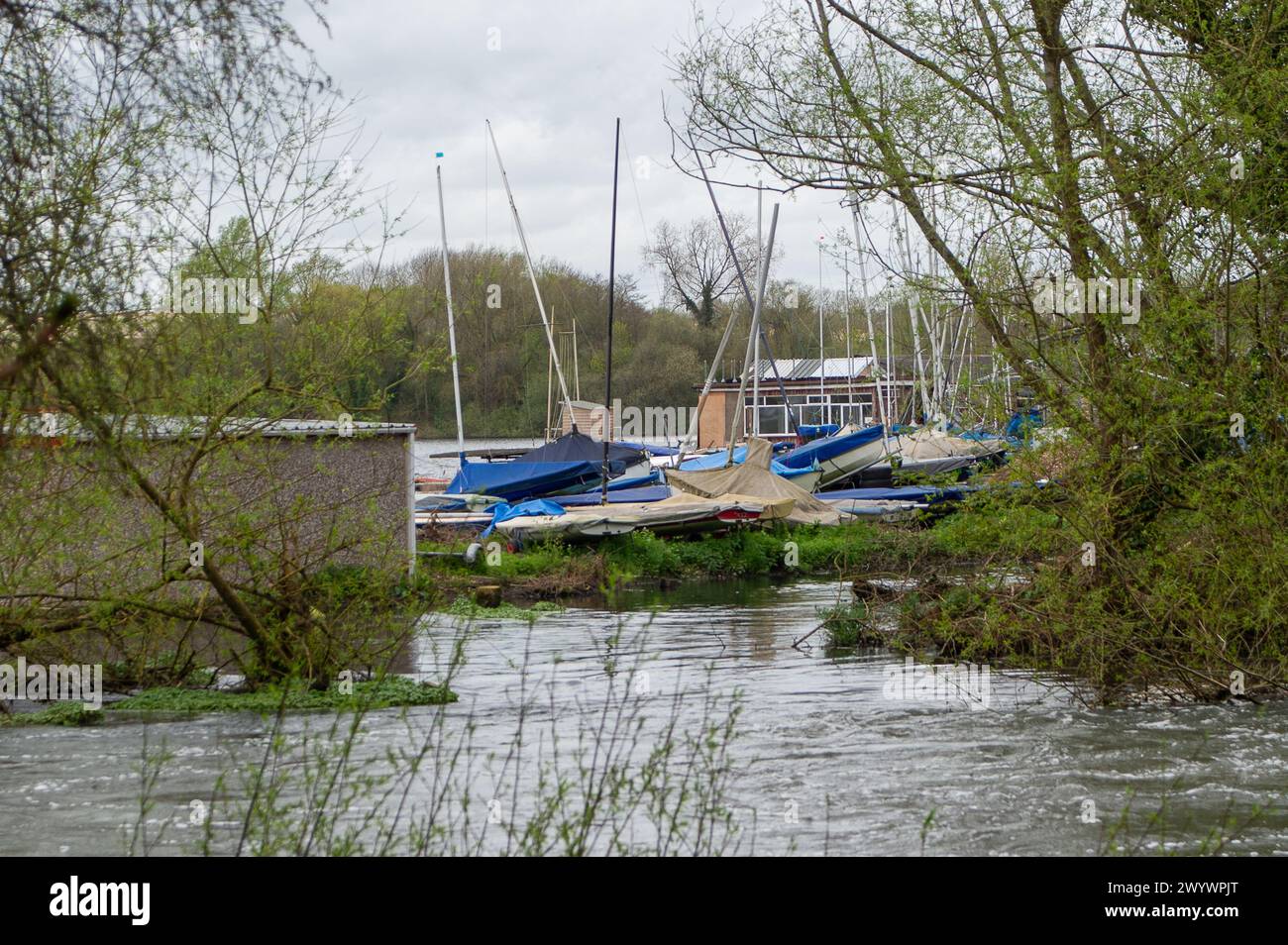 Harefield, Großbritannien. April 2024. Rickmansworth Sailing Club neben dem River Colne und dem Grand Union Canal in Harefield. Kredit: Maureen McLean/Alamy Stockfoto