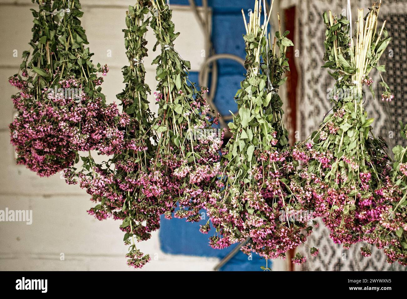 Eine Nahaufnahme getrockneter Blumensträucher mit leuchtenden violetten Blüten und grünen Stielen, die zusammengebunden sind und eine organische und erdige Umgebung darstellen. Stockfoto