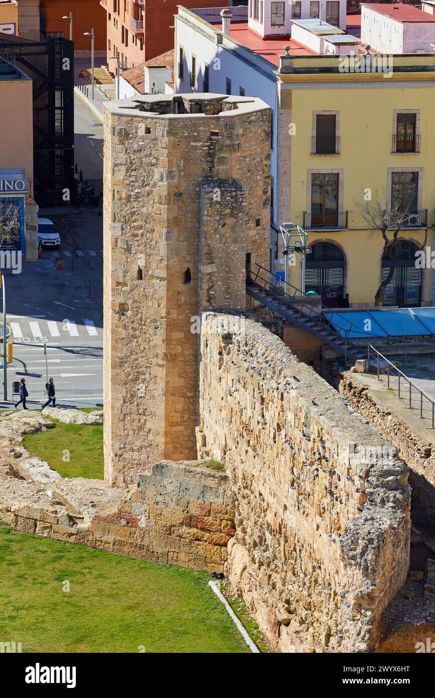 Prätorium und römischer Zirkus, Geschichtsmuseum von Tarragona (MHT), Tarragona Stadt, Katalonien, Spanien, Europa. Stockfoto
