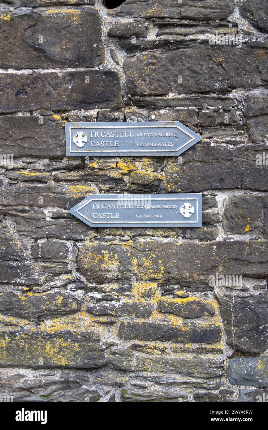 Reiseführer, Castle, Conwy, Wales, Großbritannien Stockfoto