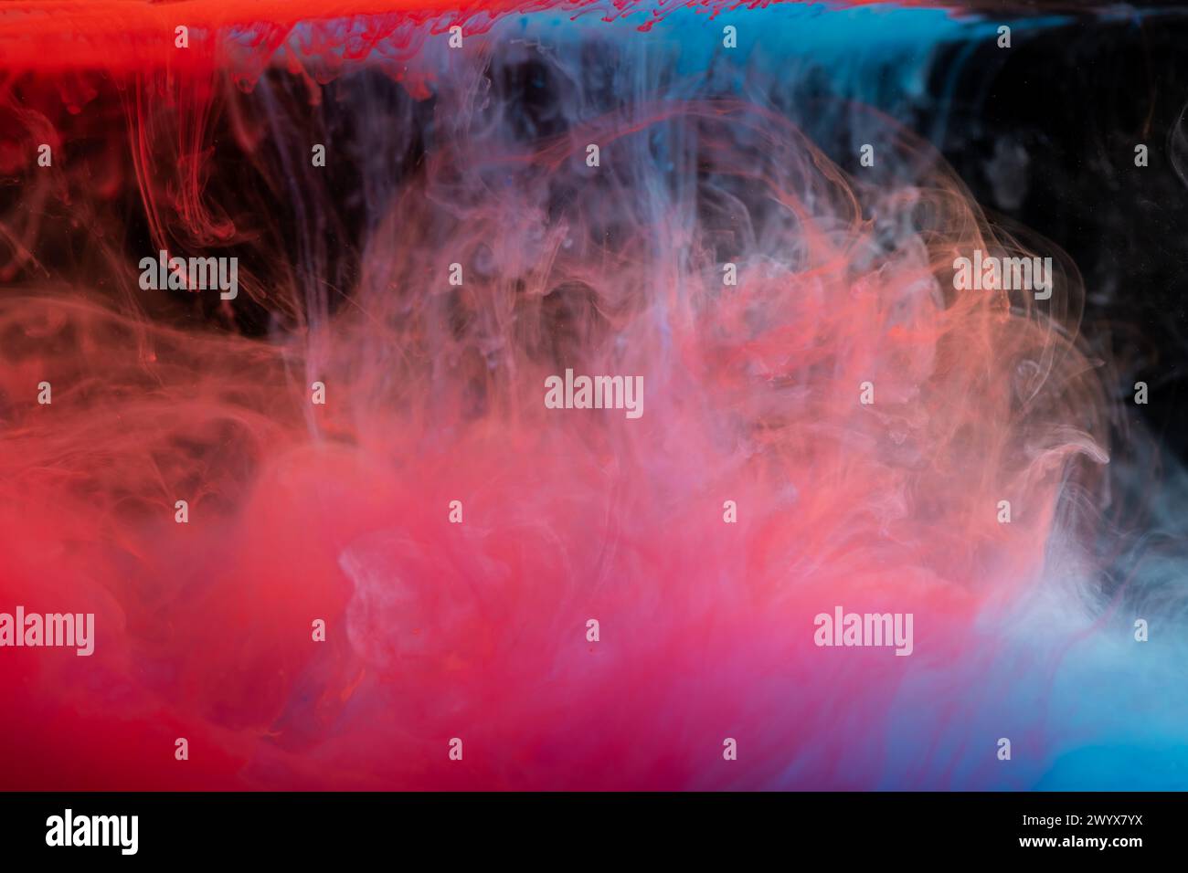 Wolken von rotem und blauem Rauch auf schwarzem Hintergrund, Wolken von Farbe im Wasser, Aquarium, abstrakter Hintergrund, Textur Stockfoto