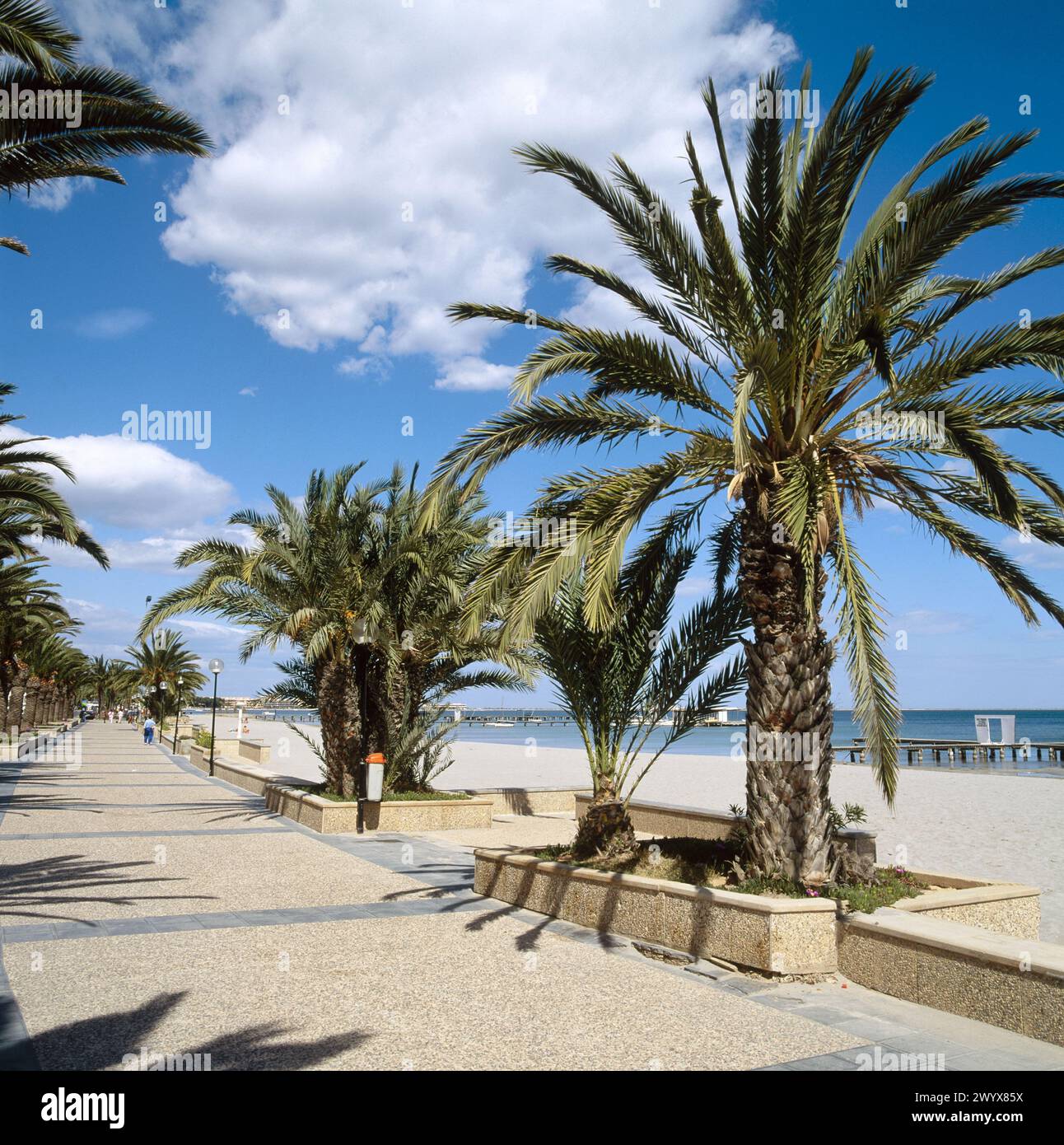 Strand, Santiago de la Ribera, Mar Menor, Provinz Murcia, Spanien. Stockfoto
