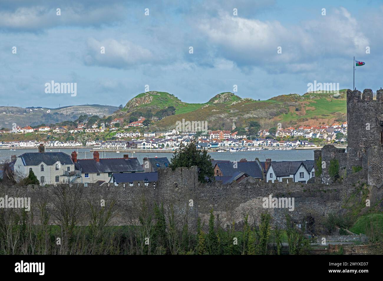 Stadtmauer, Conwy, dahinter Deganwy, Wales, Großbritannien Stockfoto