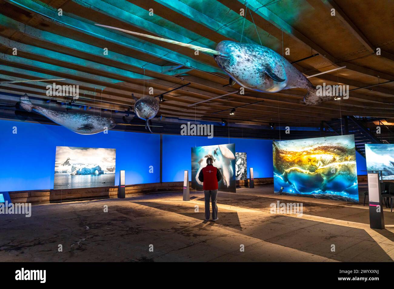 Ausstellung Plante Ozean im Gasometer in Oberhausen stehen die Ozeane in ihrer zerbrechlichen Schönheit im Mittelpunkt der neuen Ausstellung, großformatige Fotos, e Stockfoto