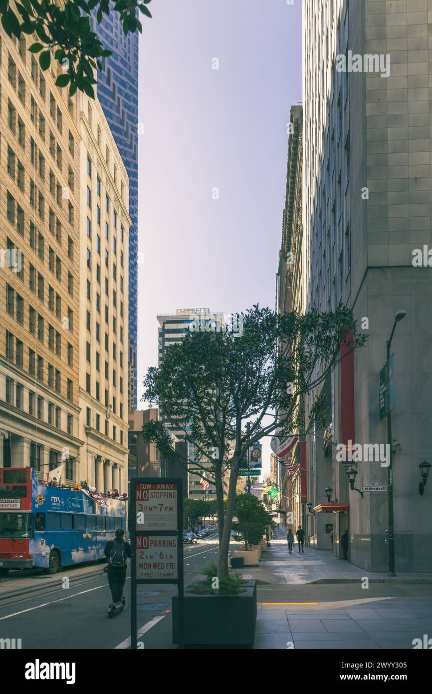 San Francisco, CA, USA. März, 16. März 2024: Das Herz von San Franciscos Finanzviertel, California Street Stockfoto