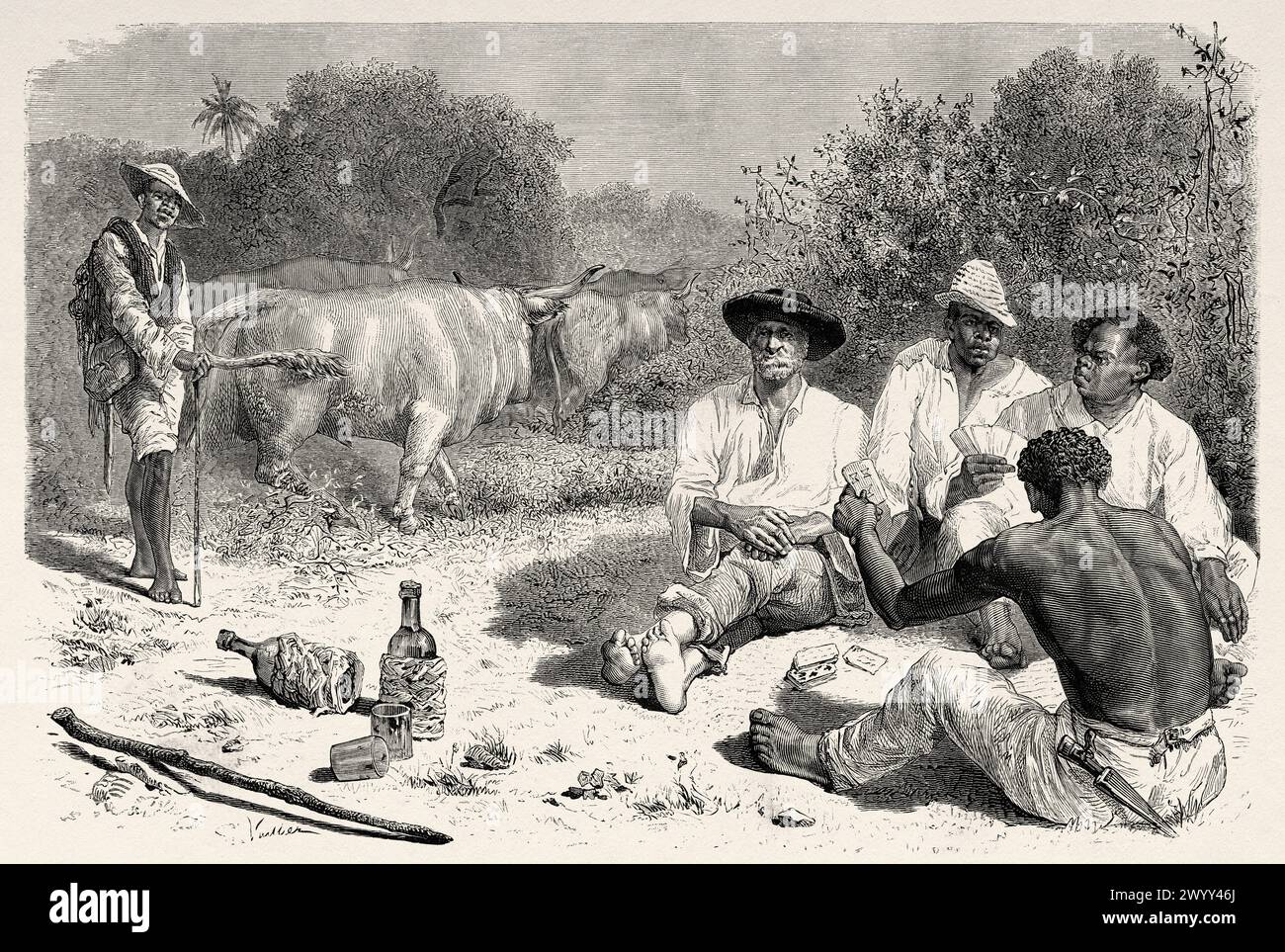 Gruppe Cowboys, die sich ausruhen und Karten spielen, während sie Wein trinken, Republik Panama. Zentralamerika. Zeichnung von Gaston Vuillier (1845–1915) Erkundung des Isthmus von Panama und der Region Darien von Armand Reclus (1843–1927) Le Tour du Monde 1880 Stockfoto