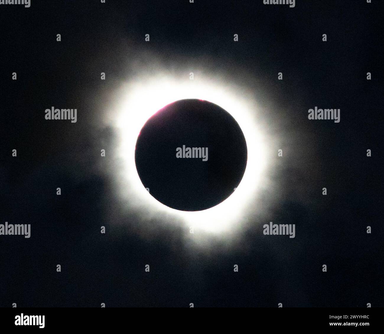 Sulpher Springs, USA. April 2024. Die Sonnenfinsternis während der Totalität in Sulpher Springs, TX am 8. April 2024. (Foto: Jennifer Lake/SIPA USA) Credit: SIPA USA/Alamy Live News Stockfoto