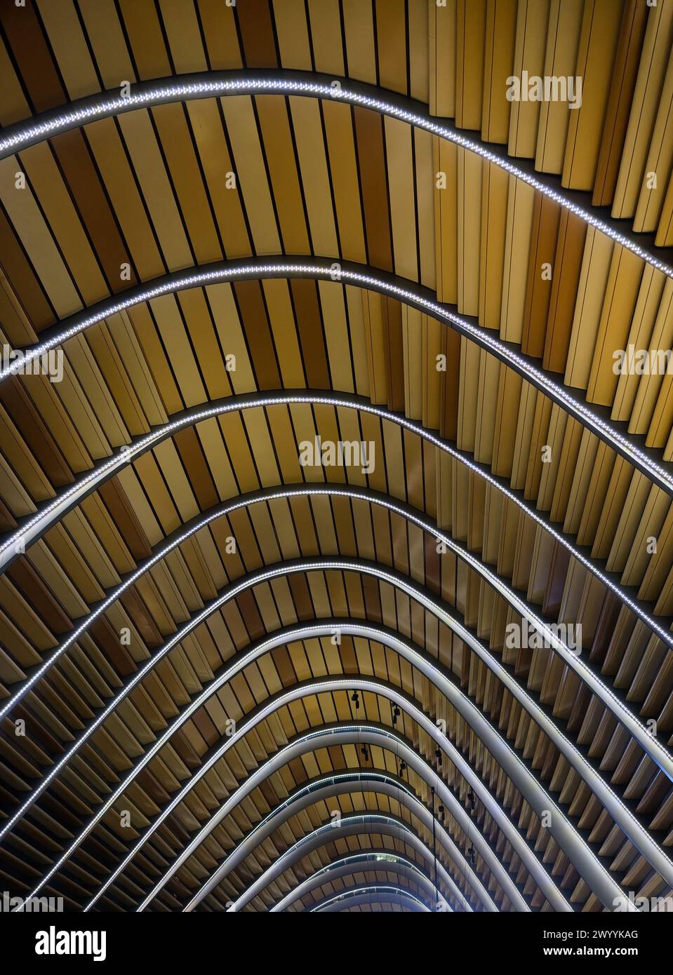 Das Innere des Dachs mit Holz bedeckt den South Beach-Komplex neben dem Marriott Hotel, Singapur. Stockfoto