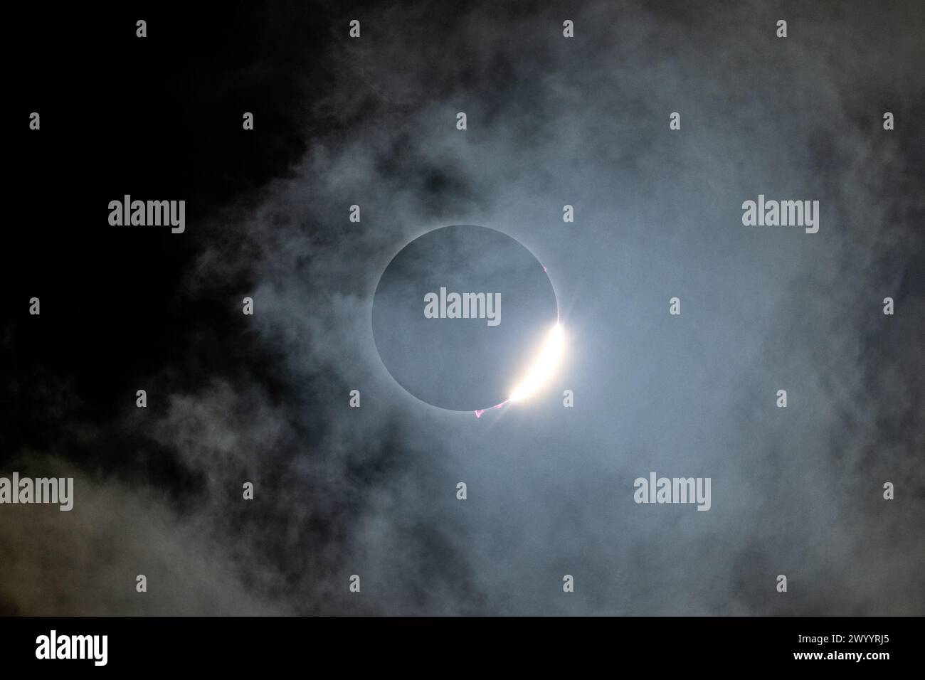 Dallas, Vereinigte Staaten Von Amerika. April 2024. Dallas, Vereinigte Staaten von Amerika. April 2024. Während der Sonnenfinsternis am 8. April 2024 in Dallas, Texas, bedeckt der Mond die Vorderseite der Sonne vollständig. Eine totale Sonnenfinsternis fegte über einen schmalen Teil des nordamerikanischen Kontinents von Mexiko bis zur Atlantikküste von Neufundland, Kanada. Quelle: Keegan Barber/NASA/Alamy Live News Stockfoto