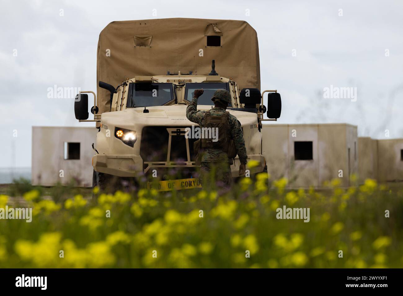 Ein U.S. Marine mit Combat Logistics Regiment 17, 1st Marine Logistics Group, bringt ein Joint Light Tactical Vehicle während CLR-17's Command Post Exercise III in Camp Pendleton, Kalifornien, am 3. März 2024 zum Stillstand. CPX III wurde durchgeführt, um die Fähigkeiten der 1. MLG in den Bereichen Intelligenz und Logistik, Zukunftsplanung und Kampfbereitschaft in Vorbereitung auf die Übung Valiant Shield 2024 zu verbessern, die diesen Sommer beginnt. (Foto des U.S. Marine Corps von Lance CPL. Hannah Hollerud) Stockfoto