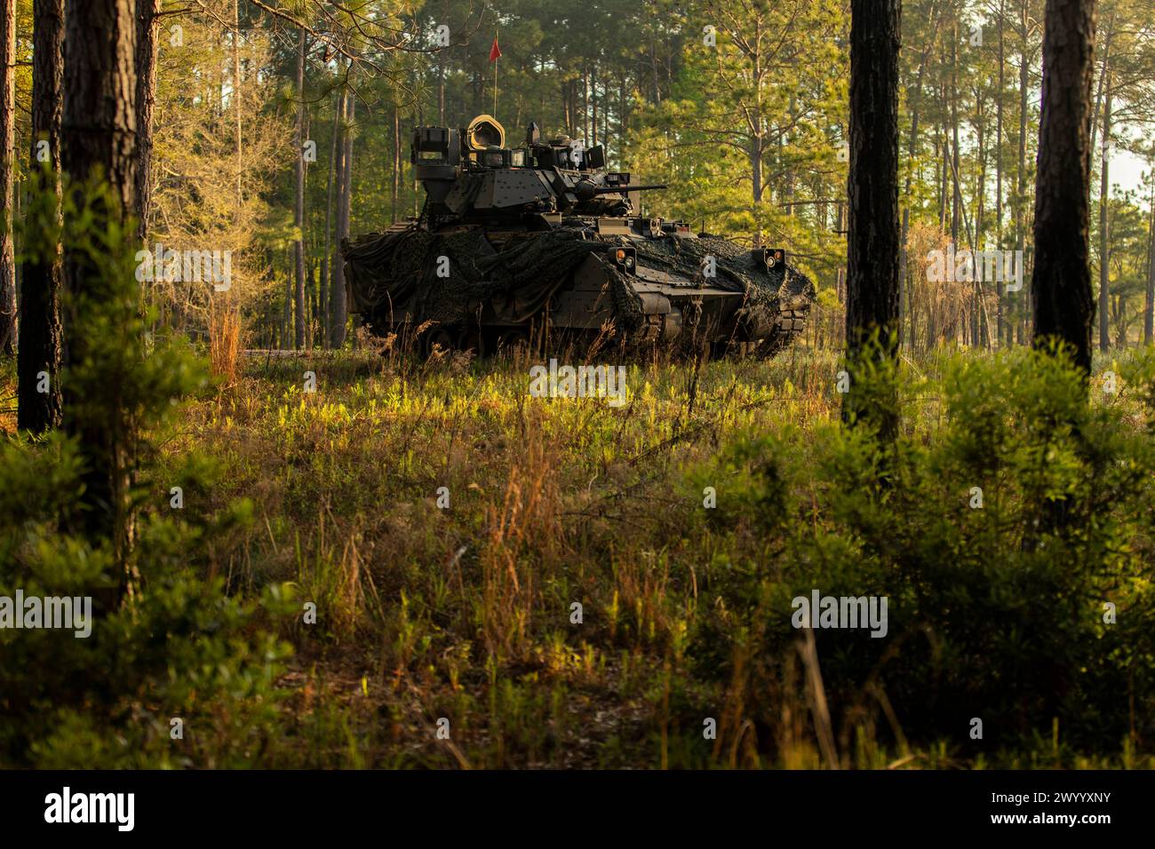 Ein M2A4 Bradley Kampffahrzeug, das dem 2. Bataillon, 7. Infanterieregiment, 1. Panzerbrigade Combat Team, 3. Infanteriedivision, zugewiesen wurde, zieht während eines situativen Trainings die Sicherheit, Marne Focus, in Fort Stewart, Georgia, am 7. April, ab. 2024. die Brigade durchlief vor Marne Focus eine strenge Besatzungszertifizierung und eine wichtige kollektive Ausbildung, um ihre Bereitschaft für großräumige Operationen mit mehreren Domänen zu bestätigen. (Foto der US-Armee von Sgt. Duke Edwards) Stockfoto