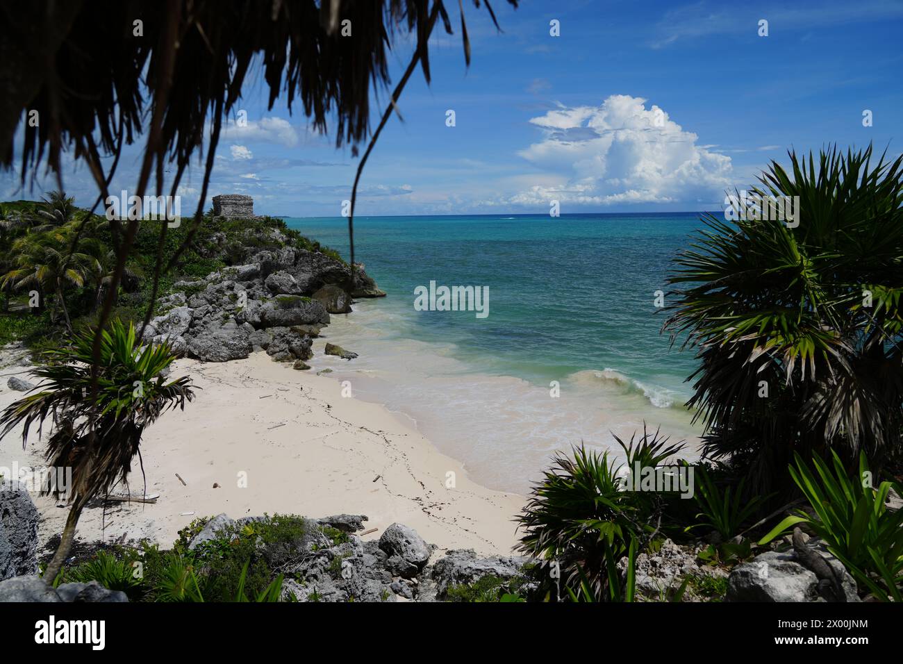 Weißer Sandstrand mit türkisfarbenem Karibikmeer und den Ruinen im Hintergrund in Tulum Stockfoto