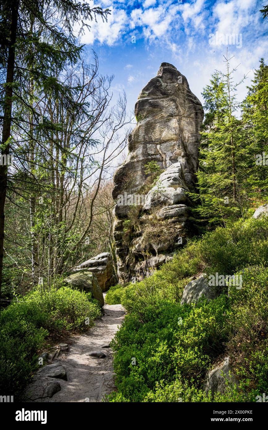 Pfad führt zum großen Felsen im Adrpach Teplice Forest Stockfoto