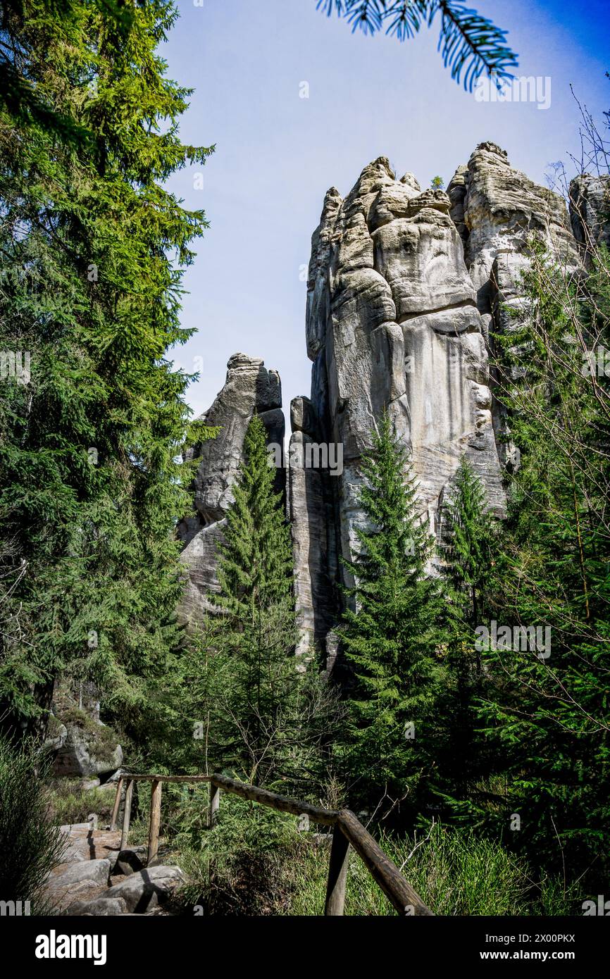 Dichter Wald mit hohen Felsen in Adrspach Teplice, Tschechische Republik Stockfoto