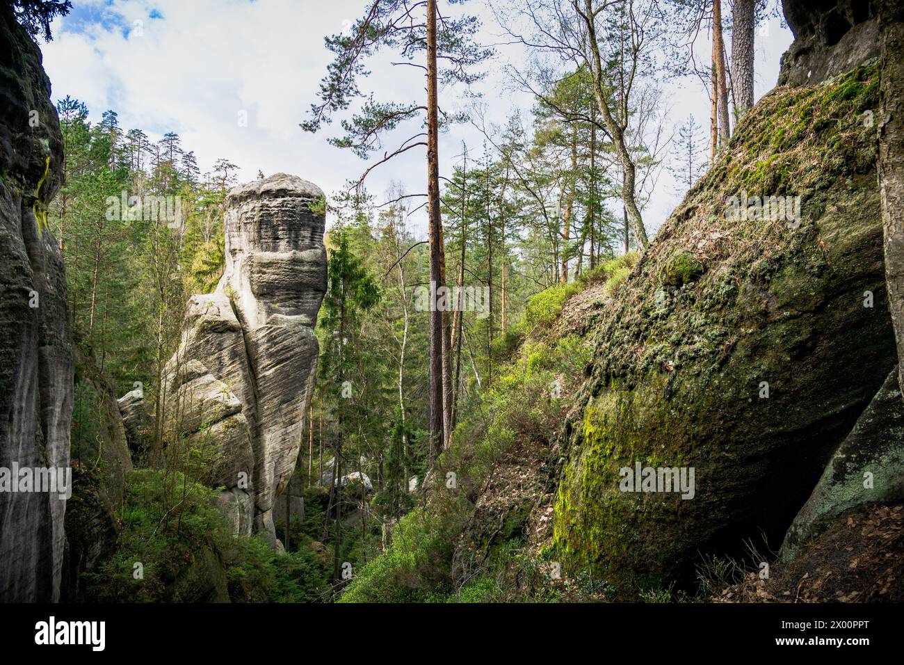 Massive Felsformation im Wald in Adrpach Teplice, Tschechische Republik Stockfoto