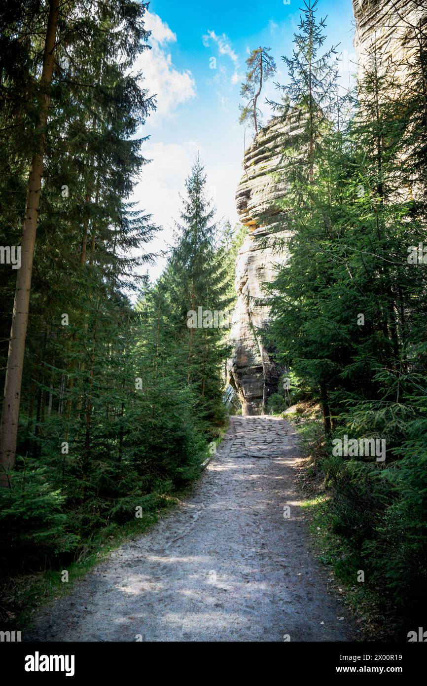 Dirt Road durchquert den Wald in der Adrpach Teplice Rock Formation Stockfoto