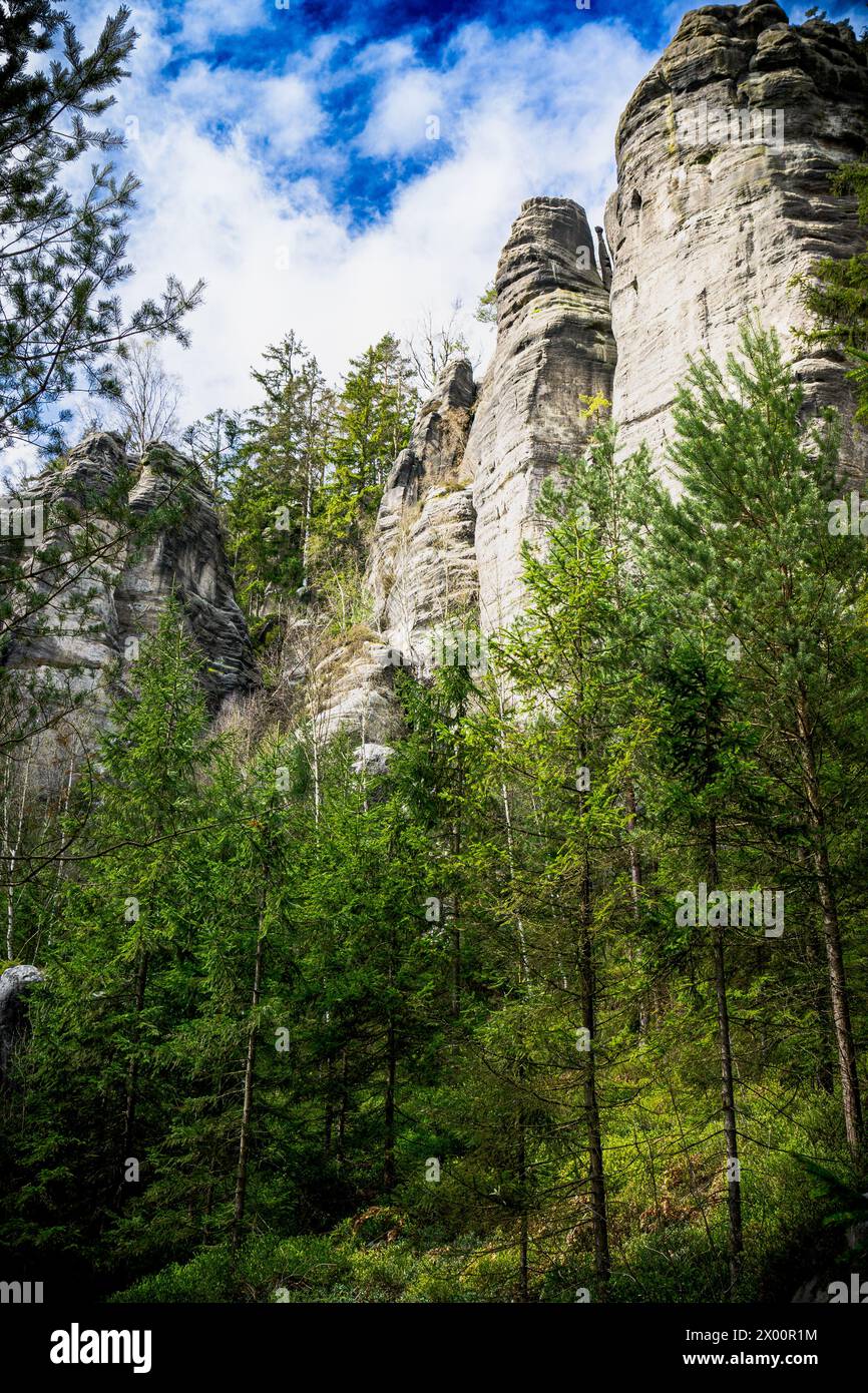 Dichter Wald mit hohen Felsen bei Adrspach Teplice, Tschechische Republik Stockfoto