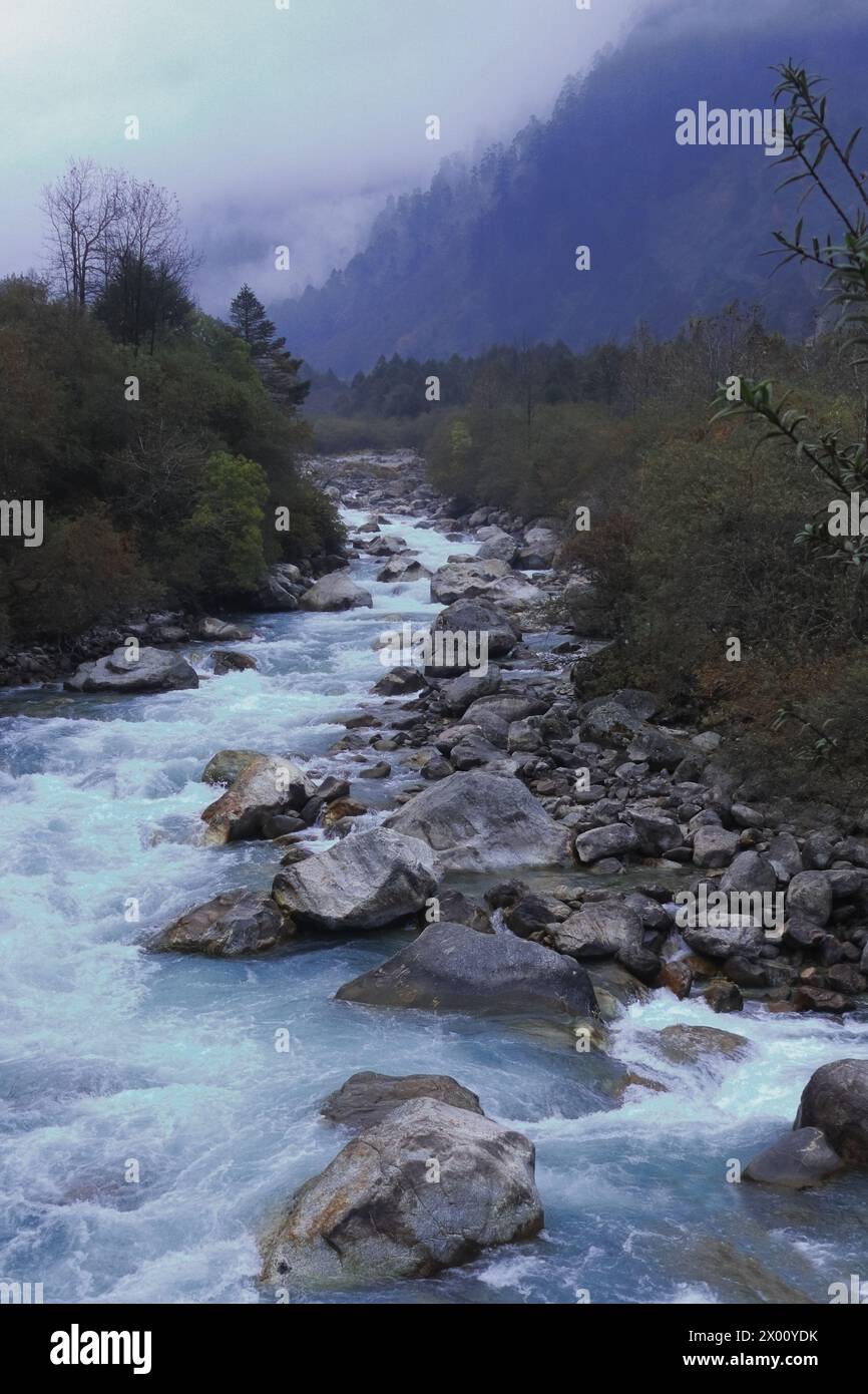 Gebirgsfluss Lachung Chu, der durch den Wald auf den Ausläufern des himalaya in der Nähe der Bergstation Lachung im Norden von sikkim, Nordosten indiens fließt Stockfoto